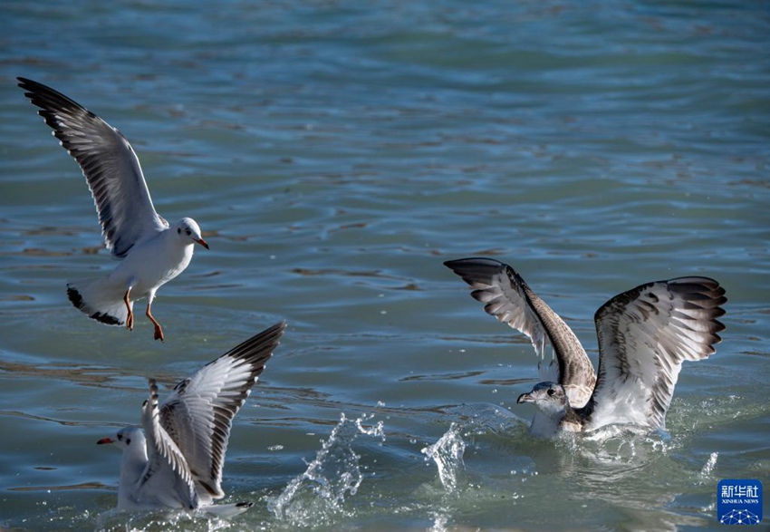 ??? ????? ??? ?? ??. [11? 16? ??/?? ??: ???] 