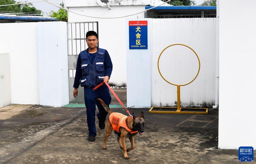 ???? ‘????’? ??? ??? ????. [11? 17? ??/?? ??: ???]