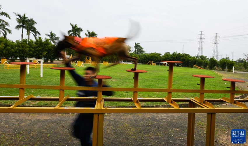 ‘????’? ???? ??? ??? ??? ??? ??. [11? 17? ??/?? ??: ???]