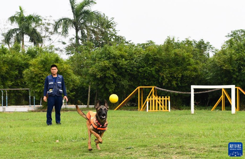 ‘????’? ???? ??? ?? ? ??? ???. [11? 17? ??/?? ??: ???]