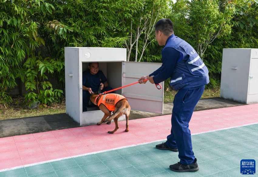 ‘????’? ???? ??? ?? ???? ???. [11? 12? ??/?? ??: ???]