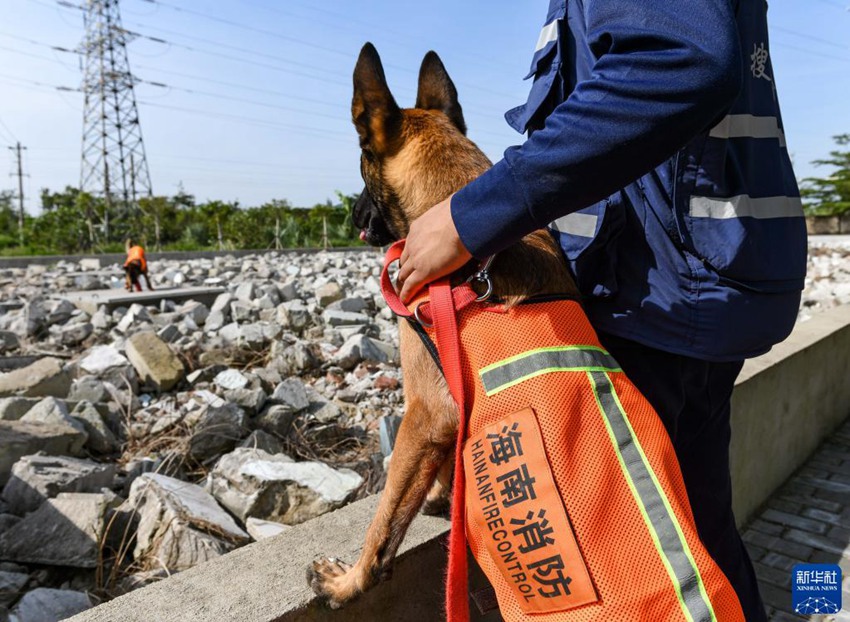 ‘????’? ?? ????? ?? ?? ???? ?? ????. [11? 12? ??/?? ??: ???]