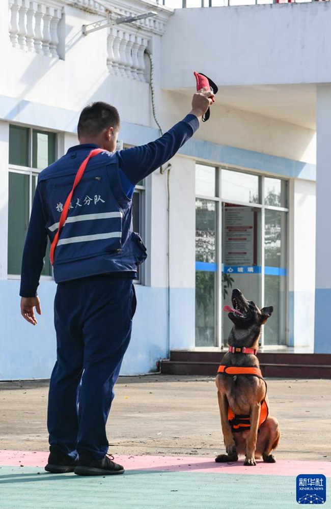 ‘????’? ???? ??? ?? ?? ???. [11? 12? ??/?? ??: ???]