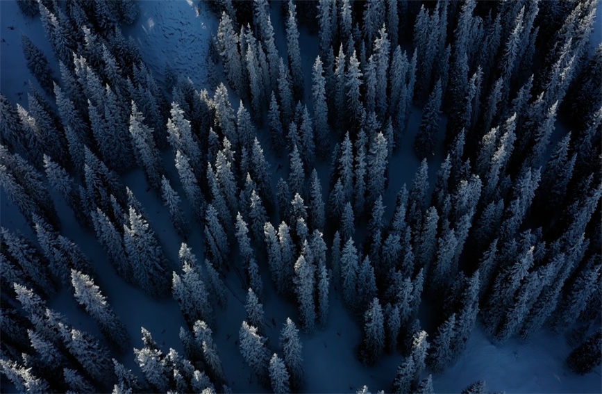 ?? ?? ?????? [?? ??: ???]