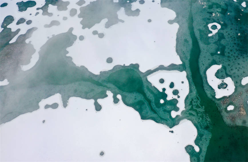 ???? ??? ??? ??? ???? ???? ??? ????. [?? ??: ???]