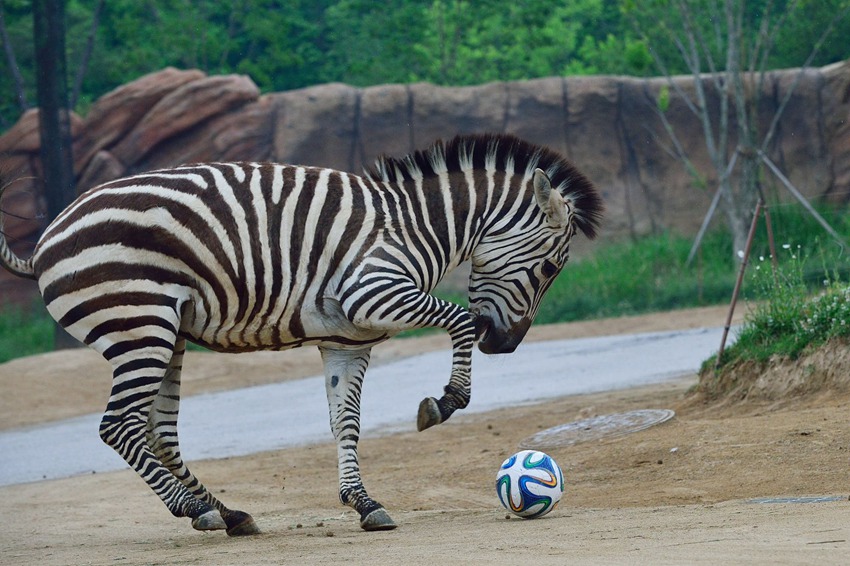 ?? ??, ????? ???? ??? ?? ??? ?? ??. [2014? 6? 17? ??/?? ??: ????]