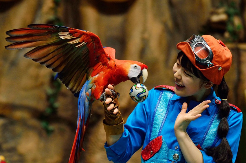 ?? ??, ????? ???? ??? ?? ??? ?? ??. [2014? 6? 17? ??/?? ??: ????]