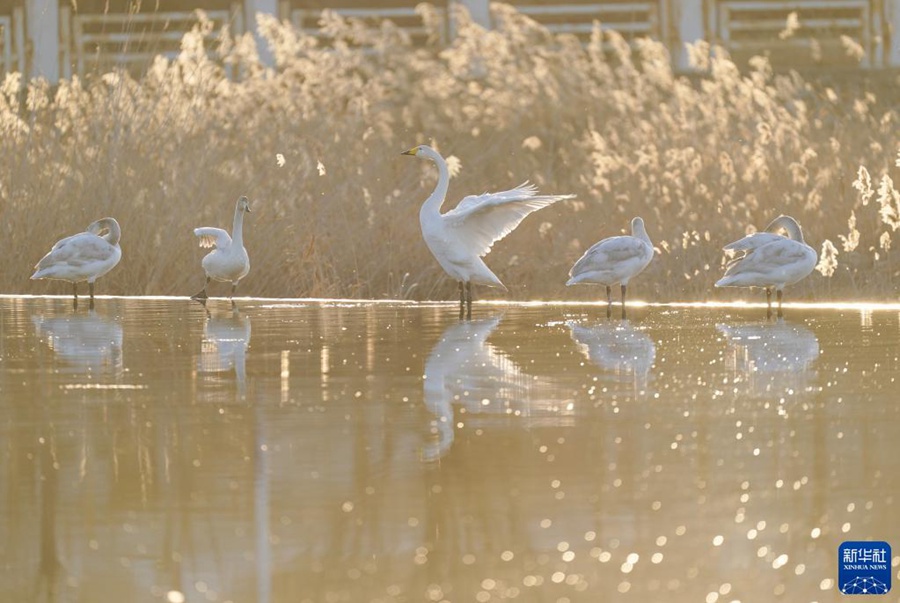 [12? 7? ??/?? ??: ???]