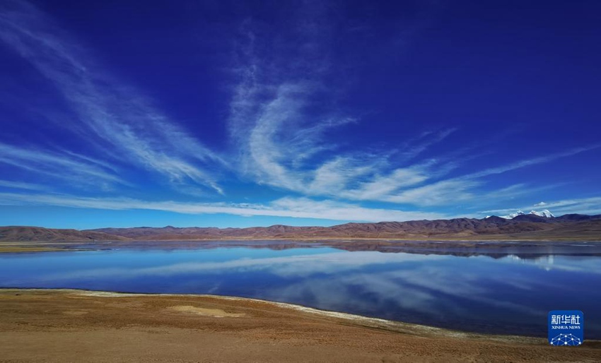 ???? ??? [12? 4? ??/?? ??: ???]