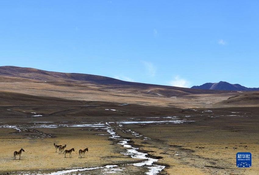 ??? ??? ???? [12? 4? ??/?? ??: ???]