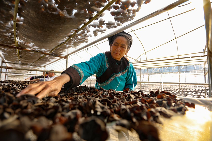 ???? ?? ???? ?? [?? ??: ???]