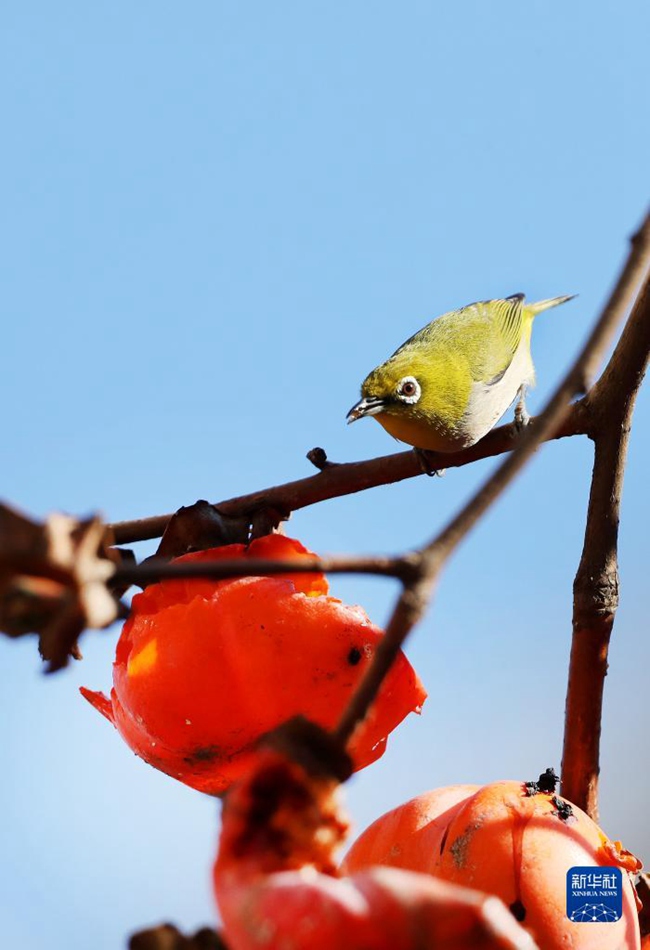 ??? ?? ?? ???? ??? ? ??? ?? ??. [12? 2? ??/?? ??: ???]