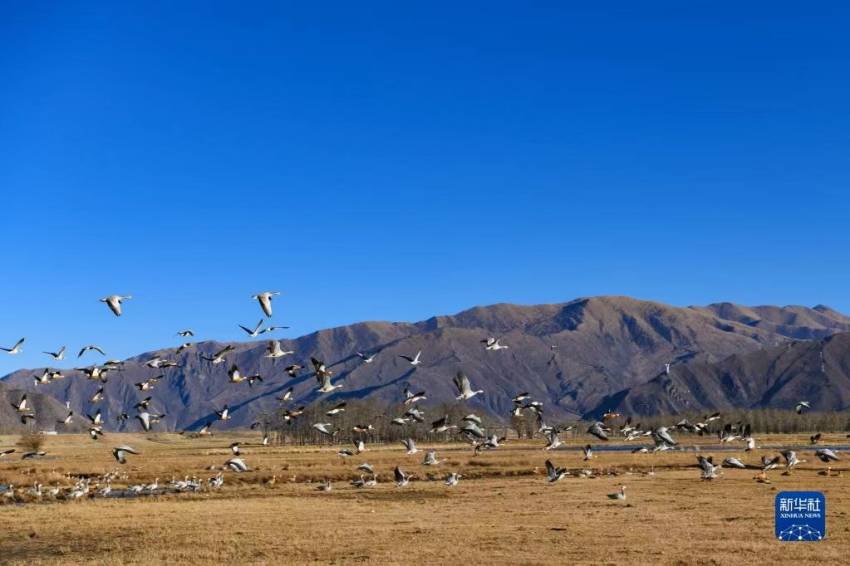 ???? [12? 11? ??/?? ??: ???]