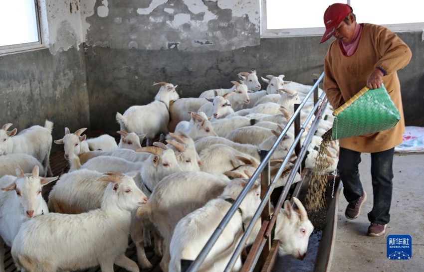 ??? ???? ??? ??? ??. [12? 14? ??/?? ??: ???]