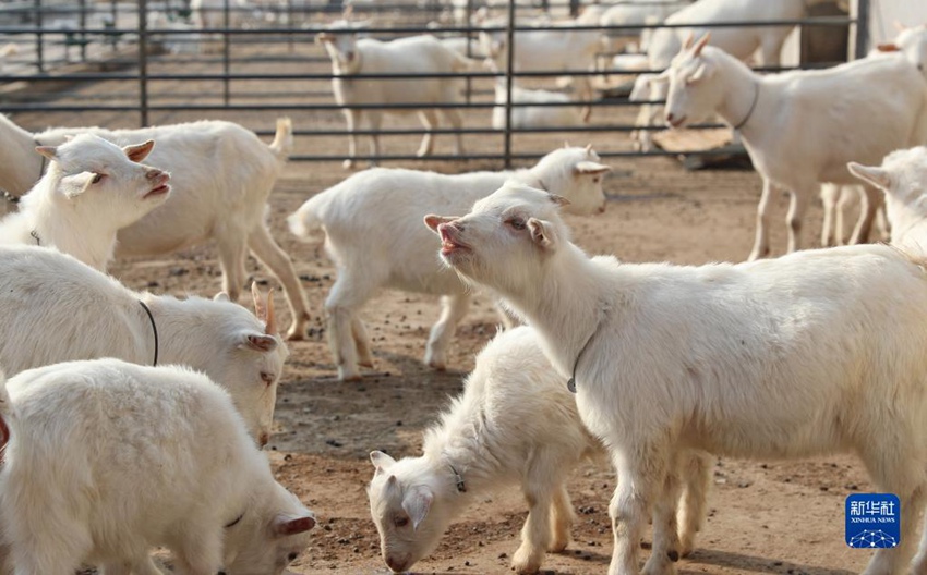 12? 14? ??? ??? ???? ????? ??? ?? ?? ????? ??? ?? [?? ??: ???] 