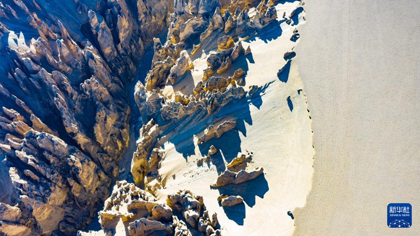 [11? 24? ?? ??/?? ??: ???]