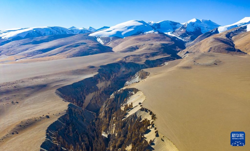 [11? 24? ?? ??/?? ??: ???]