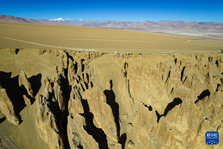 [11? 24? ?? ??/?? ??: ???]