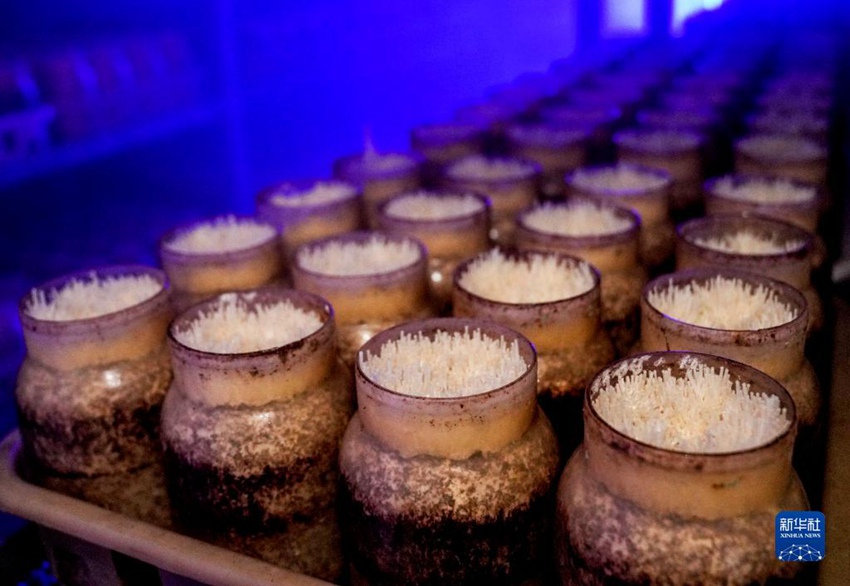 ??? ????? ??? ??? ?? ??? ??? ?? ? ?? ?? ?????, ????? ??? ??? ????? ??? ??? ??. [12? 15? ??/?? ??: ???]