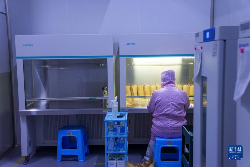 ???? ?? ?? ? ?? ?? ???. [12? 15? ??/?? ??: ???]