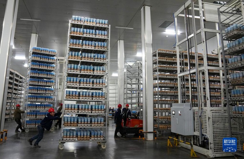 ???? ???? ?? ????? ?? ???? ?? ????. [12? 15? ??/?? ??: ???]