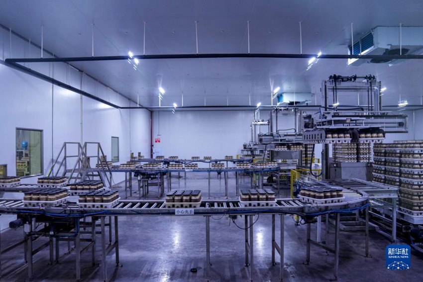 ???? ?? ????? ?? ??? ????? ??? ???. [12? 15? ??/?? ??: ???]