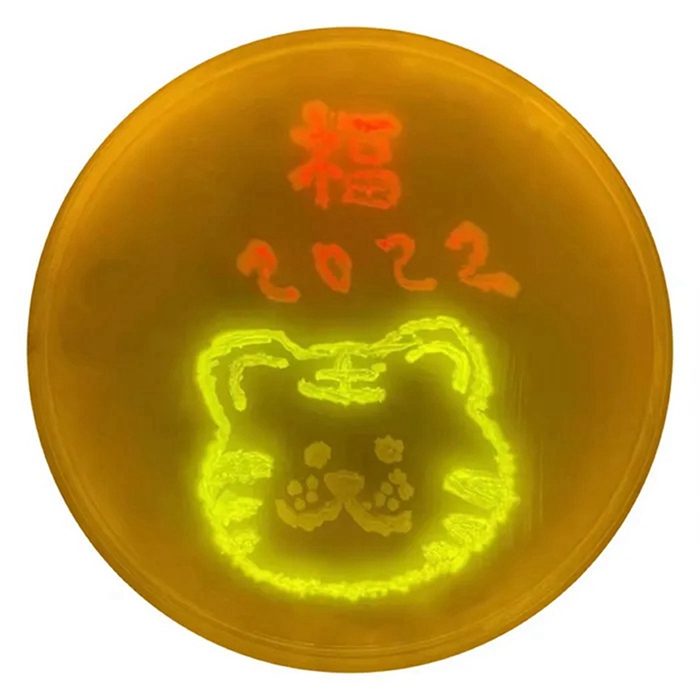 ???? ?? ??? ?? [?? ??: ???]