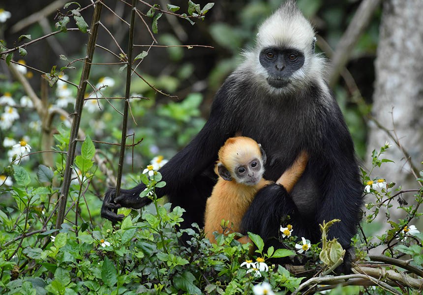 ?????? ??? ?? ? ??? ???. [?? ??: ???(梁霽鵬)]