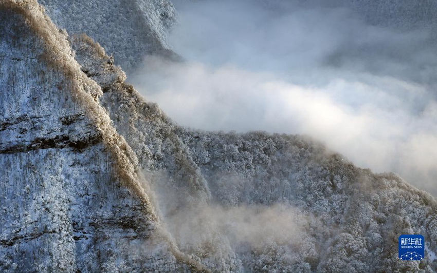 ????? ?? [2? 21? ?? ??/?? ??: ???]