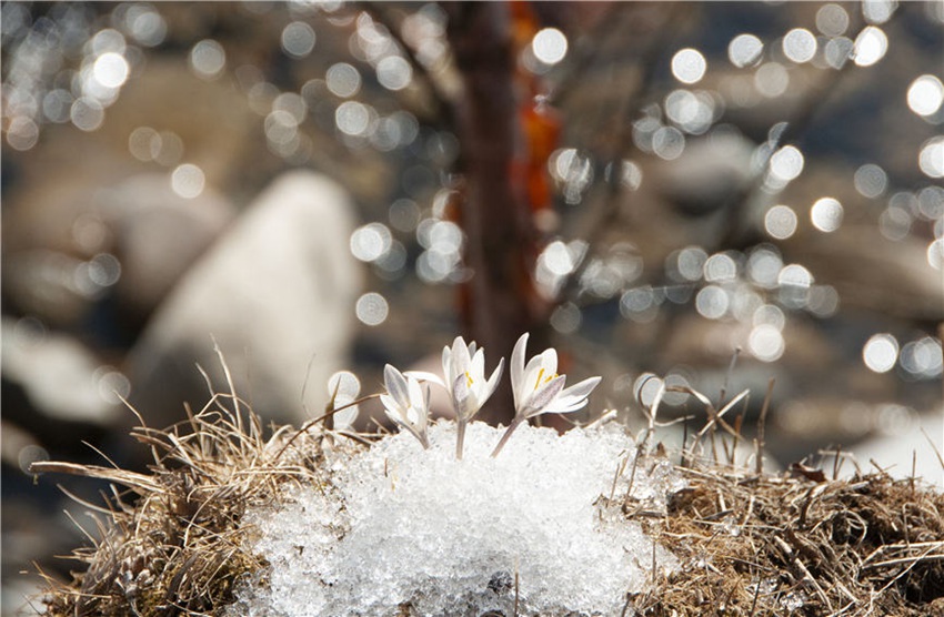 [?? ??: ???(孔慶平)]