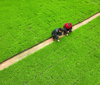 中 3? CPI ?? ?? ?? 1.5% ??