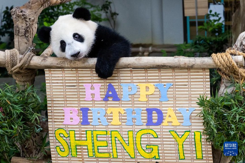 ?????? ‘??’? ????? ?????? ?? ??????? ??? ????. [5? 31? ??/?? ??: ???]