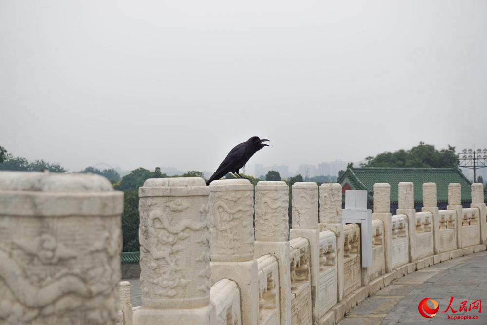 ??? ? ??? ??? ? ??? ?? ?? ?? ??.