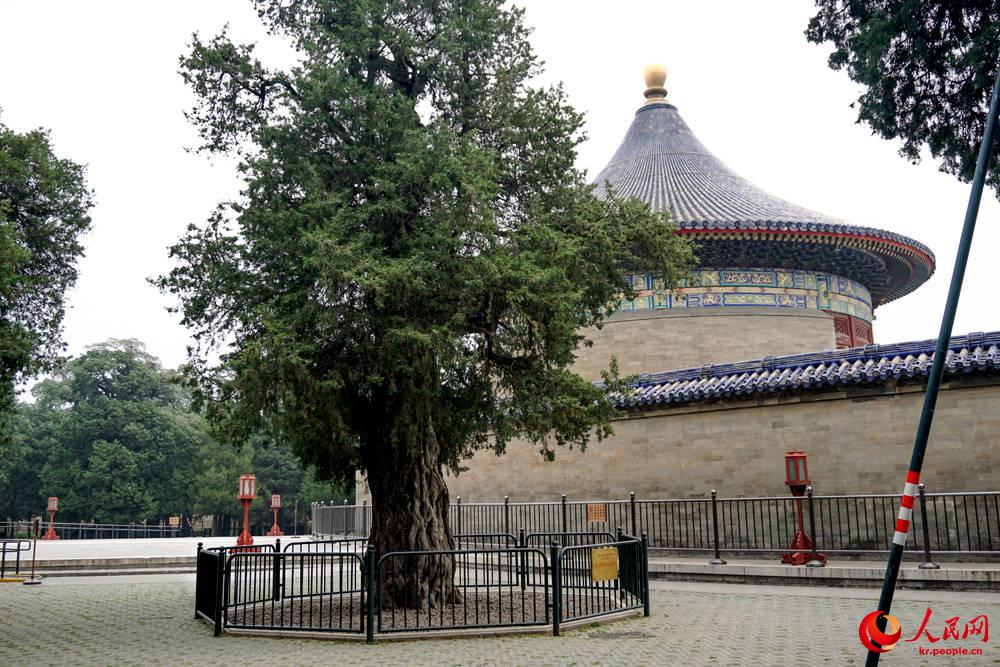 ??? ???? ? ? ??? ????.