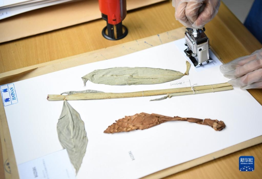 ??? ?? ??? ???? ?? ??. [7? 4? ??/?? ??: ???]