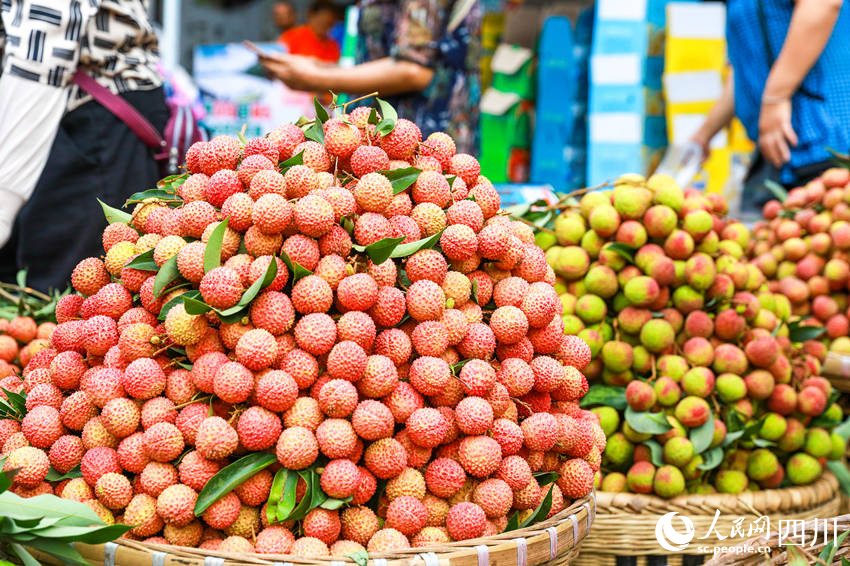 ????? ??? ?? ?? [?? ??: ???]