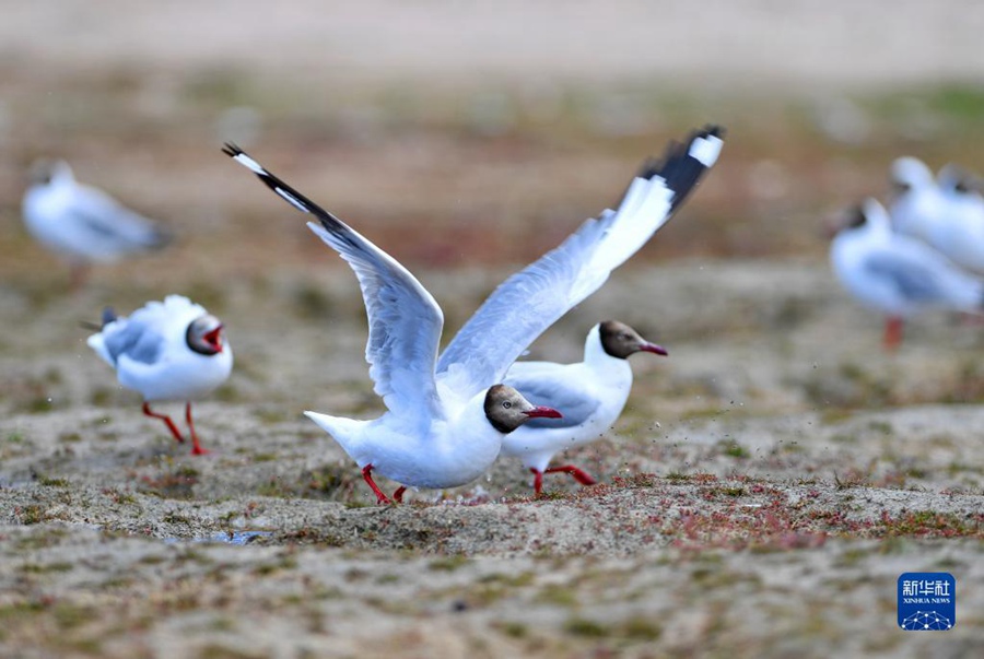 [8? 2? ??/?? ??: ???]