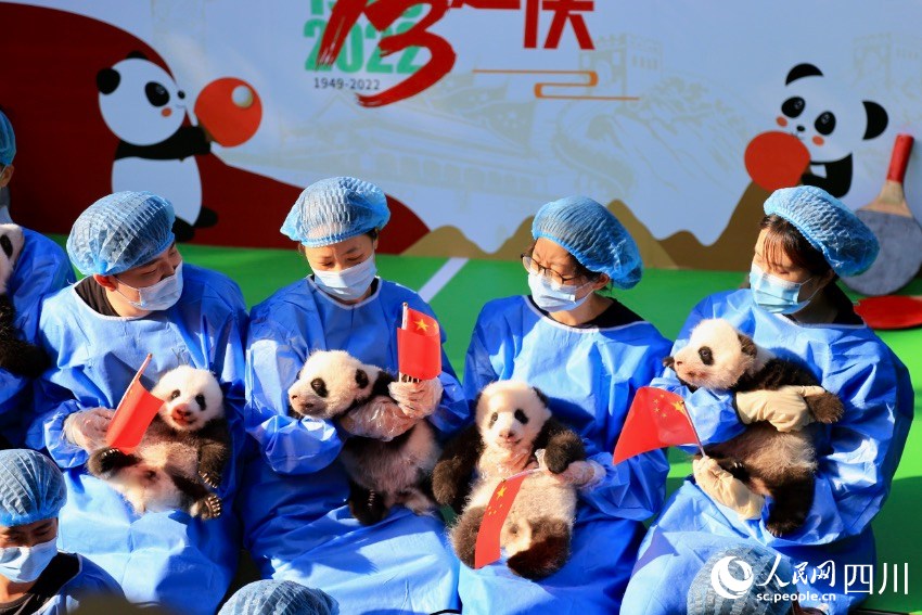 ?? ??? ?? ???? ??? ????. [?? ??: ???]