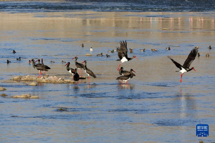 [??] ??? ??, ?? ?? ?? ???? ?? ???