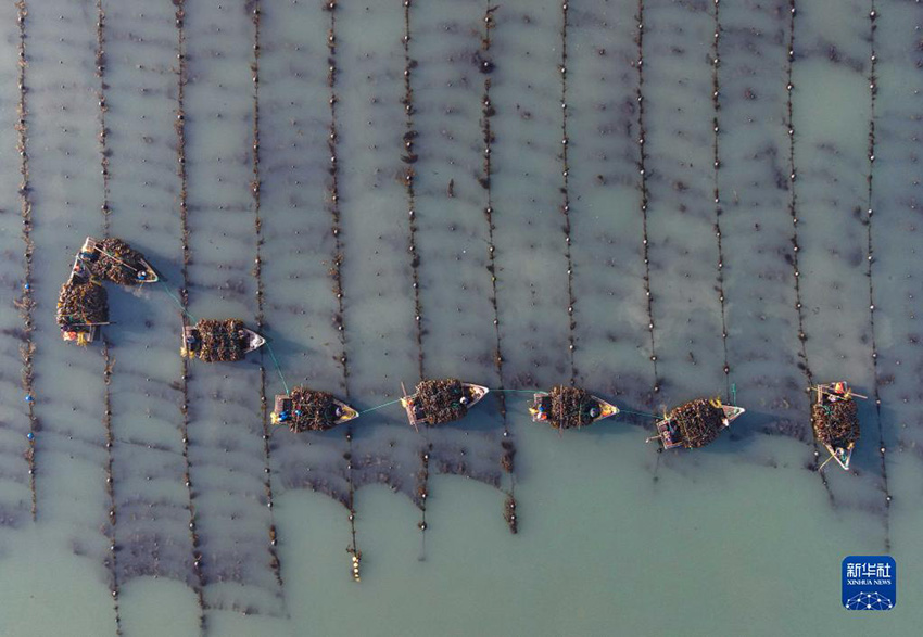 ??? ??? ??? ?? ???, ?? ??? ????. [4? 2? ?? ??/?? ??: ???]