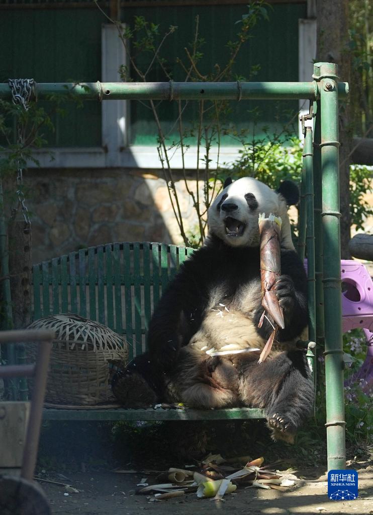 ?????? '??(萌蘭)'? ??? 30? ?????? ????????? ??? ?? ??. [?? ??: ???] 