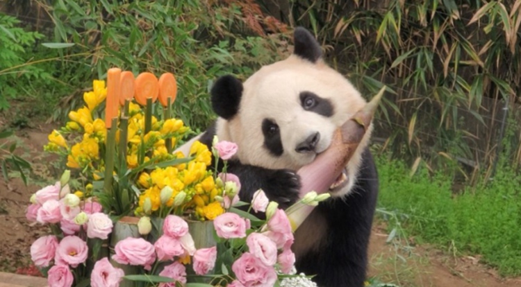 ???? 1000? ?? [?? ??: ???? ????]