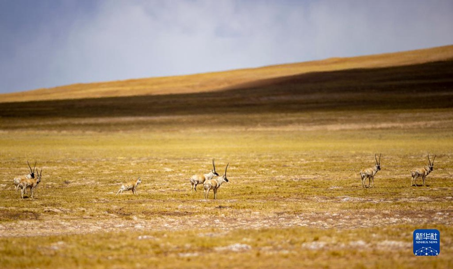 ??? ? [4? 17? ??/?? ??: ???]