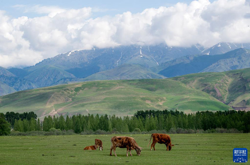 ??? ?? ?? ??. [5? 20? ??/?? ??: ???]