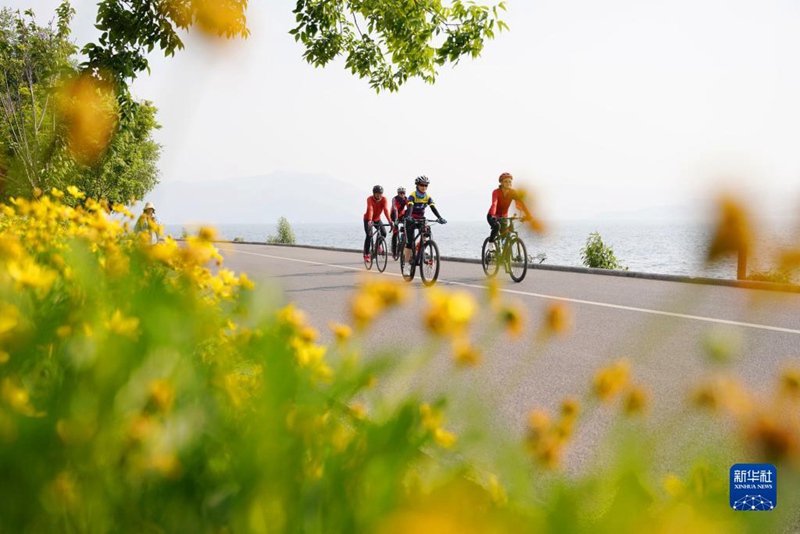 4? 20?, ??? ????? ??(雲南) ??(大理) ???(洱海) ????? ???. [?? ??: ???]