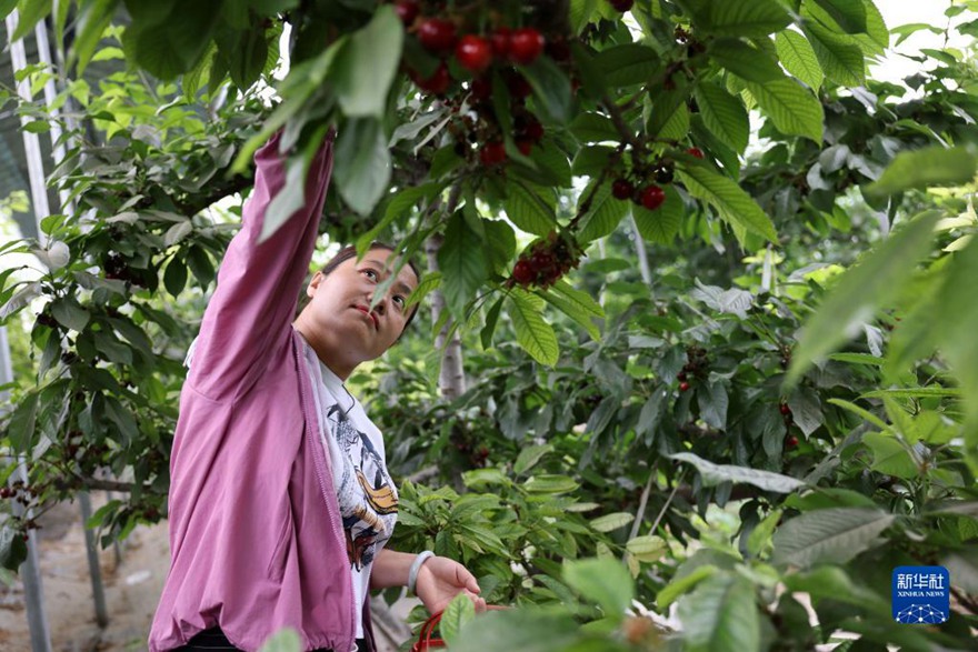 ???? ?? ??????? ???? ??? ??. [5? 30? ??/?? ??: ???]