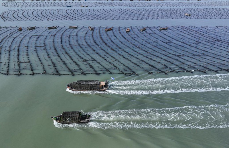 4? 16? ??(山東)? ??(榮成)? ????(愛倫灣) ???? ?? ?? ?? ?? ??? ???? ?????. [?? ??: ???]