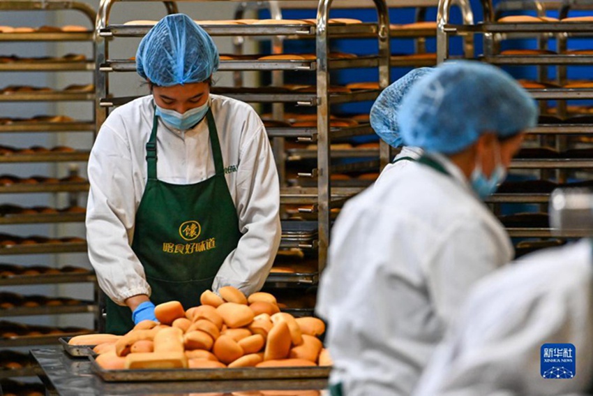 ????? ?? ?? ??????? ?? ?? ???? ???? ??. [11? 4? ??/?? ??: ???]