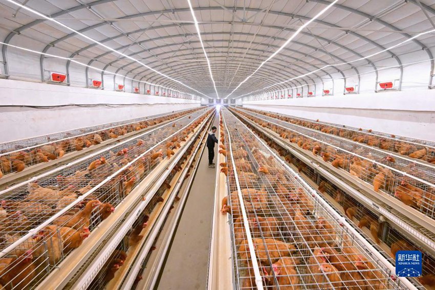 ?? ?? ?? ?? [11? 22? ??/?? ??: ???]