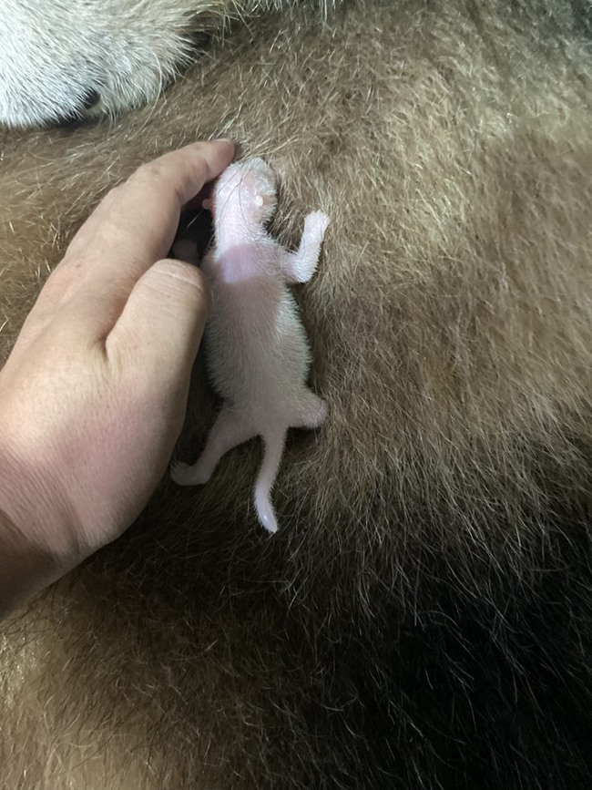 ?????? ‘??’? ? ?? ??